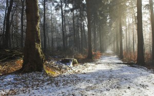 The first snow fell